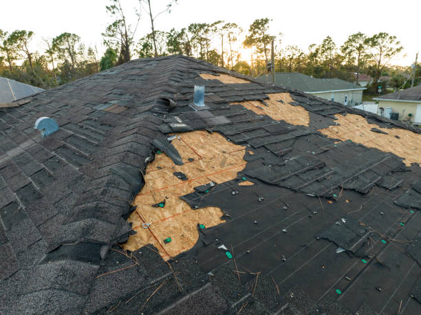 Professional Roofing service in Hallsville, TX